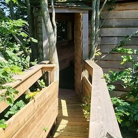 Tiny-house Avec Spa En Pleine Nature Au Coeur Du Parc Naturel De L'avesnois - Fr-1-510-207