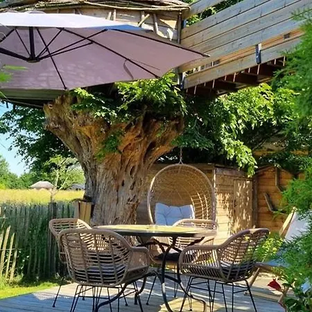 Prázdninový dům Tiny-house Avec Spa En Pleine Nature Au Coeur Du Parc Naturel De L'avesnois - Fr-1-510-207 Dompierre-Sur-Helpe
