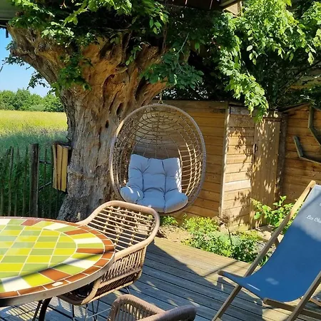 Tiny-house Avec Spa En Pleine Nature Au Coeur Du Parc Naturel De L'avesnois - Fr-1-510-207