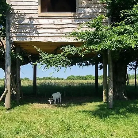 Tiny-house Avec Spa En Pleine Nature Au Coeur Du Parc Naturel De L'avesnois - Fr-1-510-207 Prázdninový dům